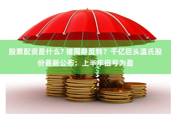 股票配资是什么? 猪周期反转？千亿巨头温氏股份最新公布：上半年扭亏为盈