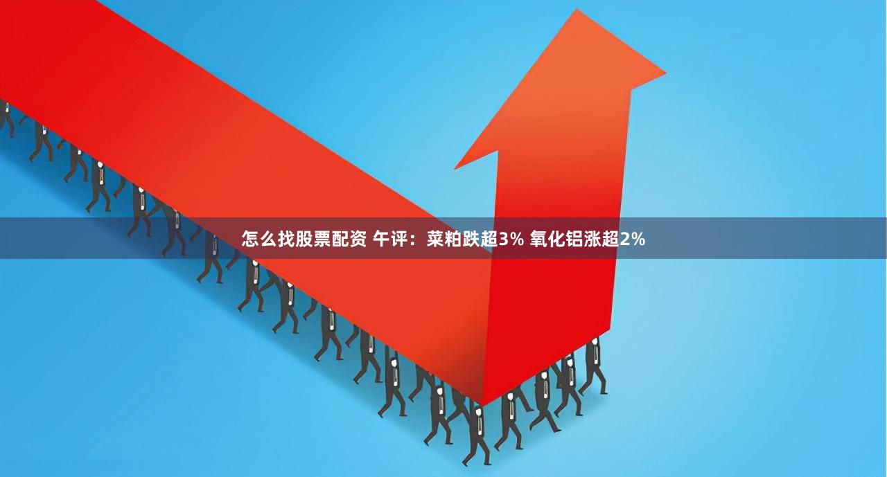 怎么找股票配资 午评：菜粕跌超3% 氧化铝涨超2%